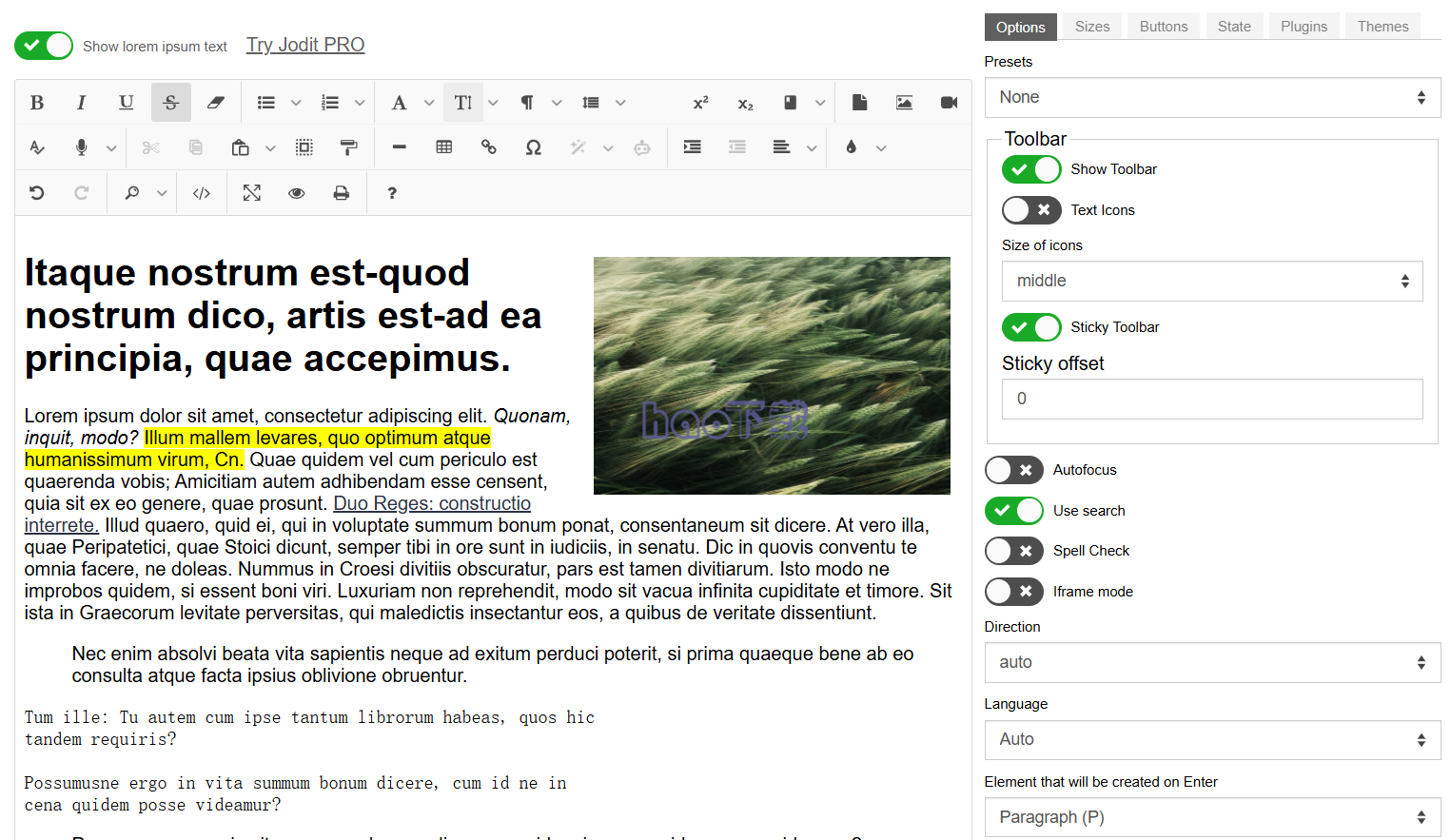 Jodit编辑器 v4.6.13